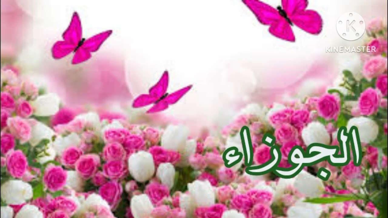 برج الجوزاء.. ‼️شخص داعم لك 🎊 وحلم يصبح حقيقه وما خفي كان أعظم.. ‼️