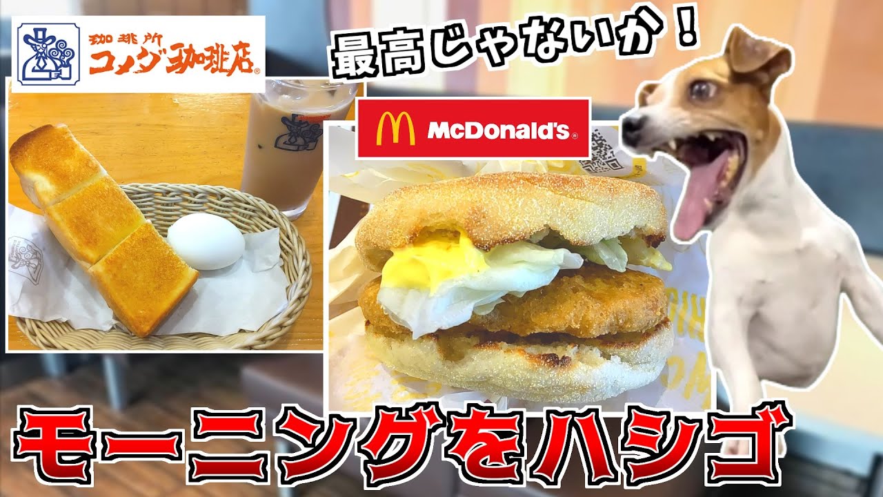 朝からコメダとマックのモーニングをハシゴするという暴挙【猫ミーム】
