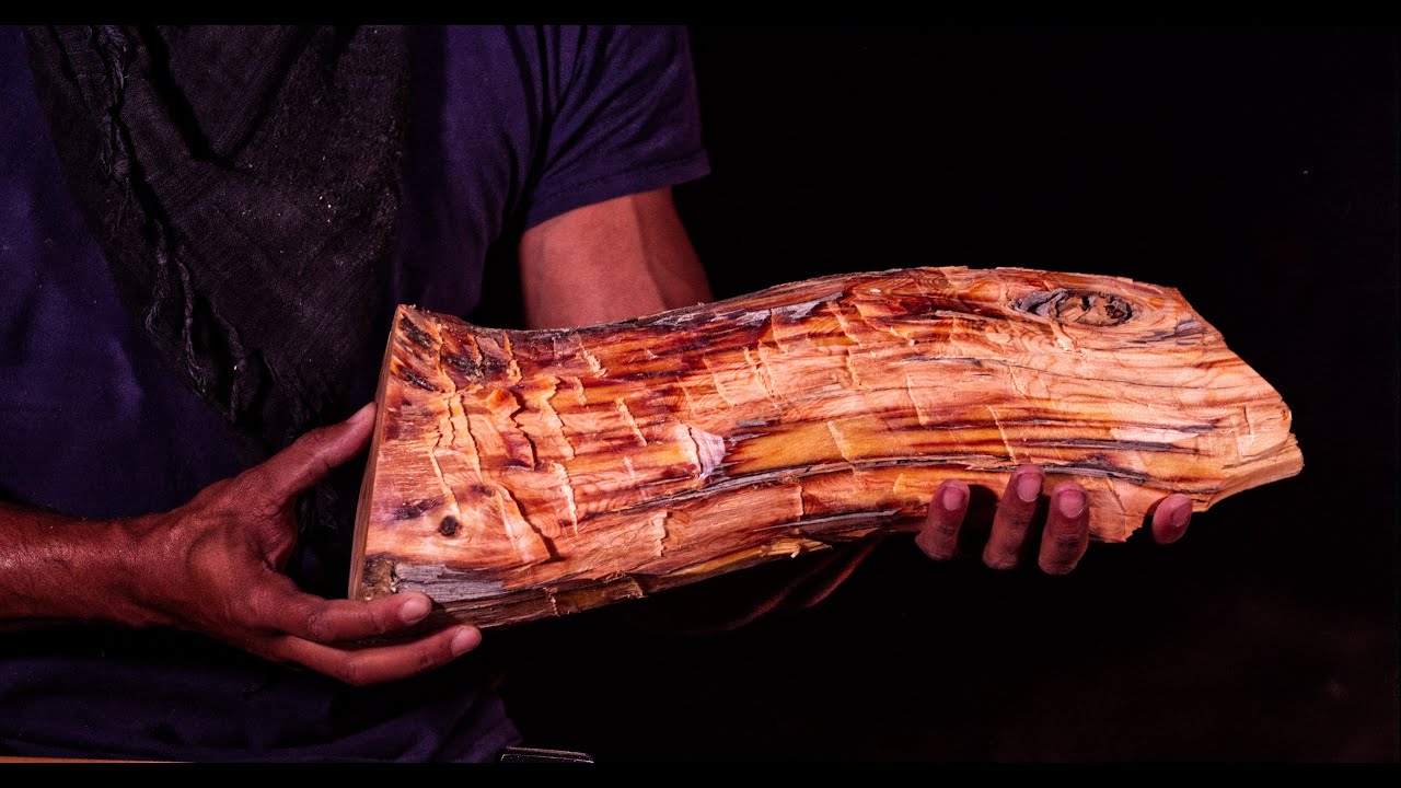 How To Find Fatwood | Monstrous Fatwood Harvest!!!