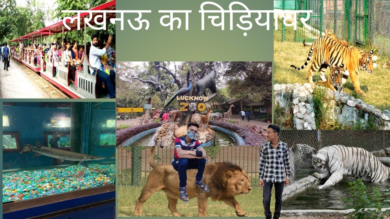 Lucknow Zoo | लखनऊ चिड़ियाघर | Nawab Wajid Ali Shah Zoological Garden |Lucknow Utter Pradesh #vlogs