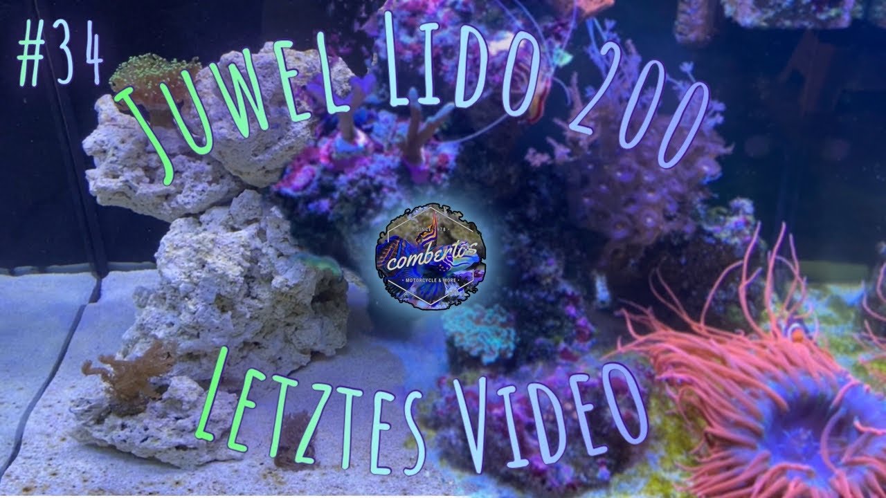 Lido200 MWA #34 | Letztes Video |