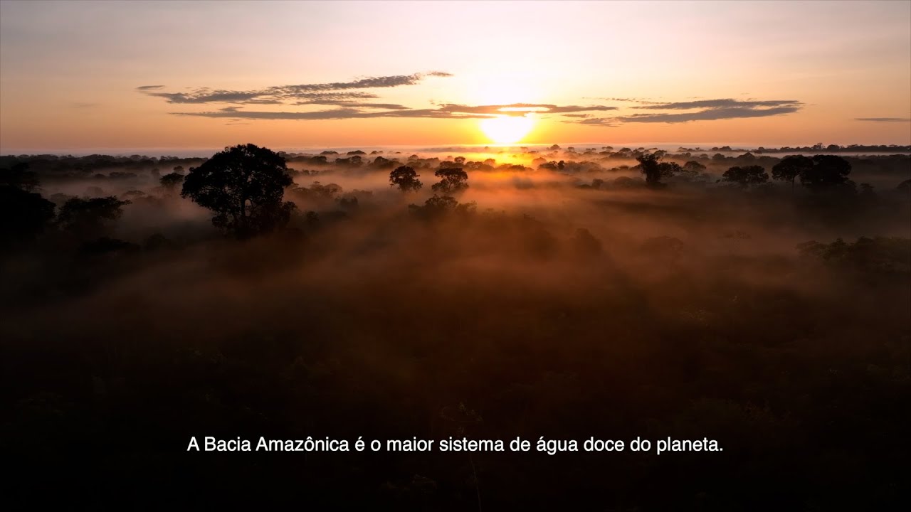 A Aliança Águas Amazônicas e sua mensagem de conectividade na COP30.