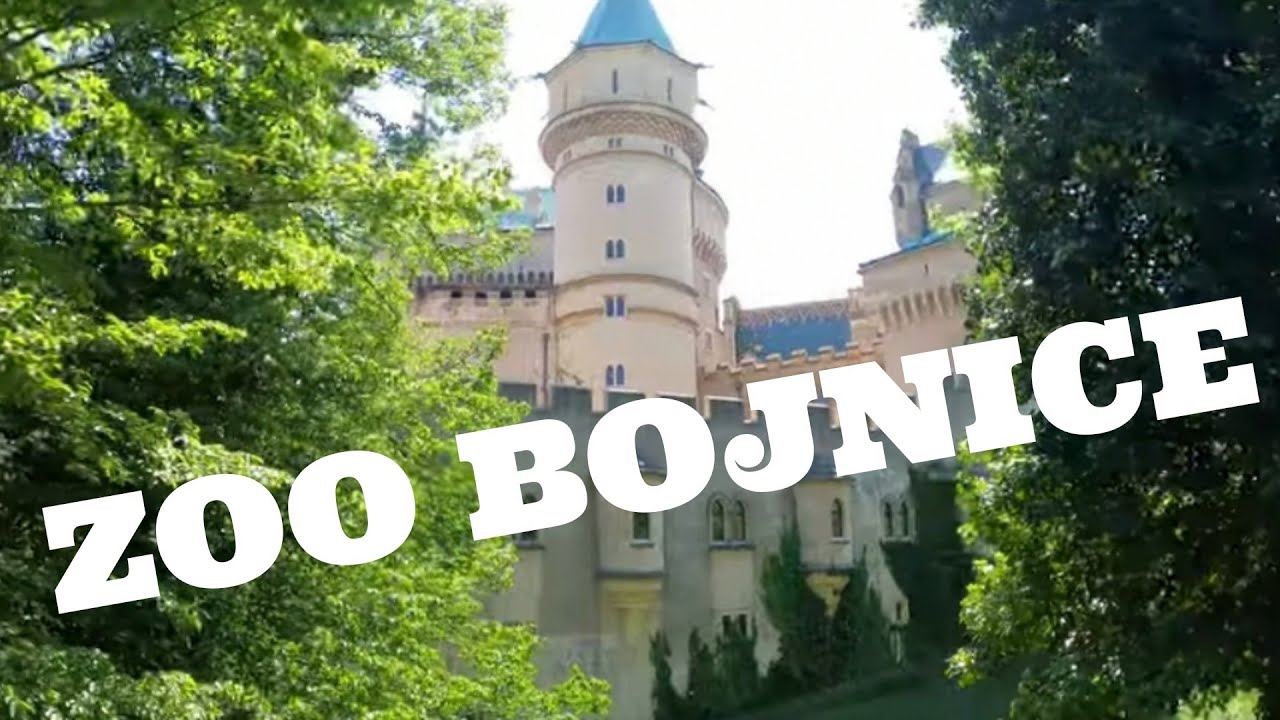 Zoo Bojnice 2022 4K