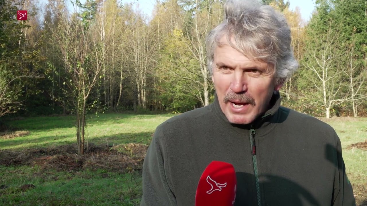 Staatsbosbeheer opent dierenbegraafplaats in Kuiderbos