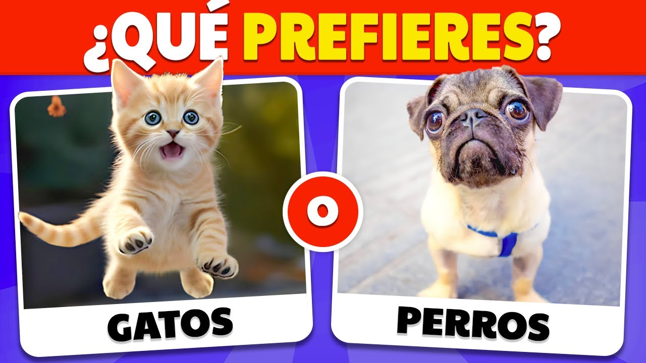 ¿Qué prefieres? Edición Animales 🐶🐱