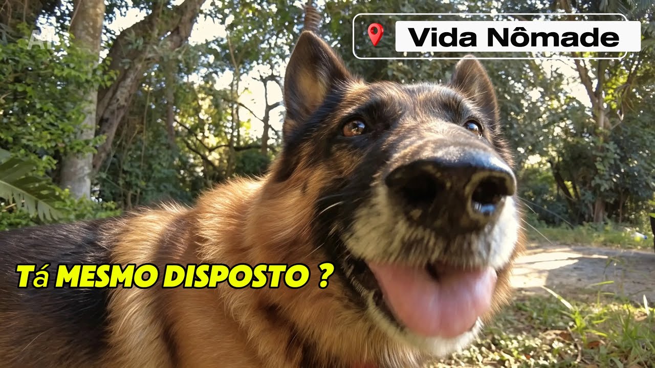 VIDA N&Ocirc;MADE - A Vida Do Desapego - Ep 160