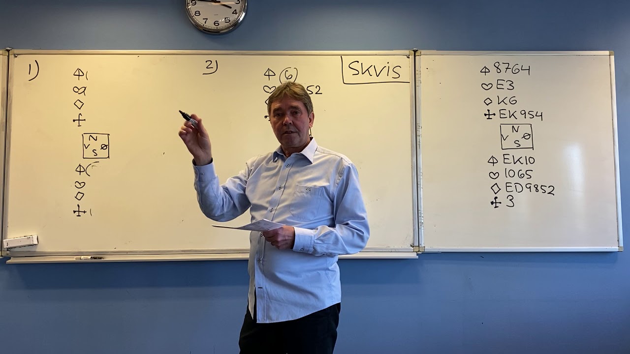 SKVIS