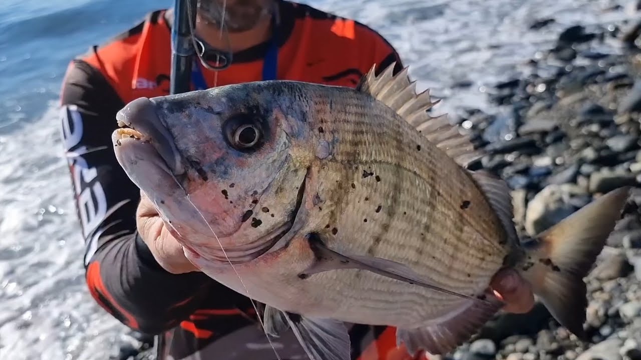 PESCA SURFCASTING EN PIEDRA(TREMENDA JORNADA) SURFCASTING GRANADA