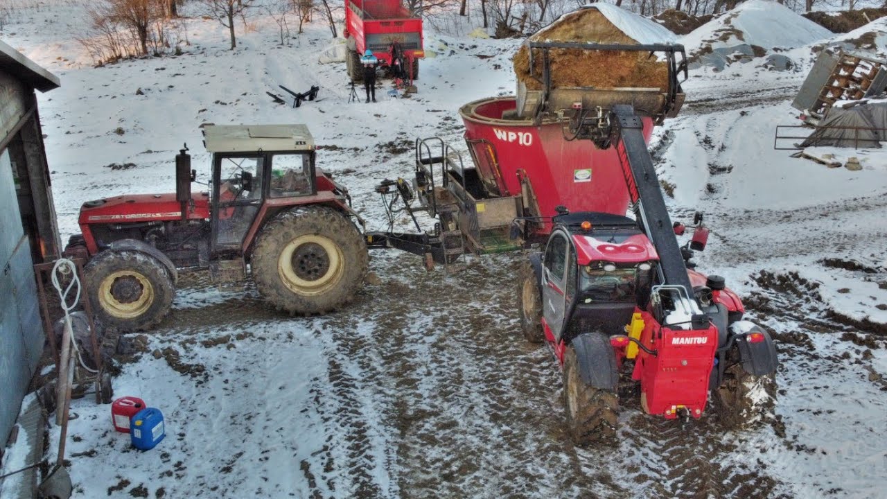 🇵🇱Codzienne obowiązki 2023!⭐ Gr Gąsior ⛔Zetor✔️Manitou✔️