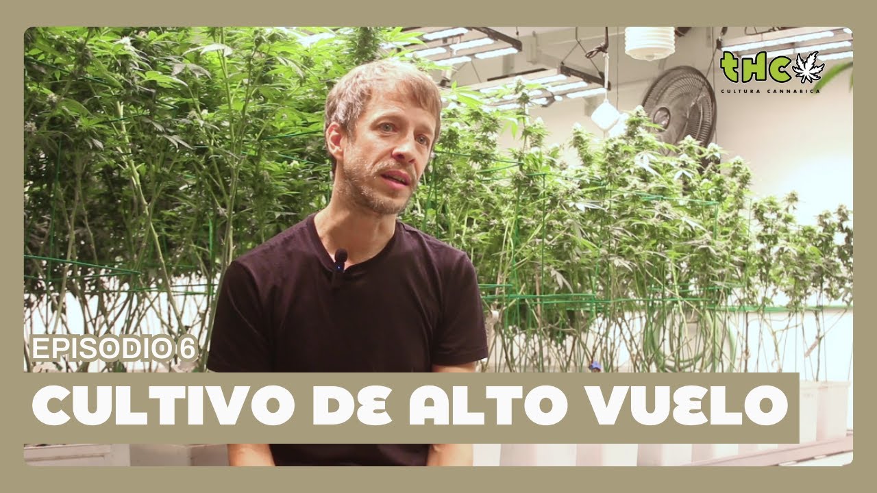CULTIVADORES - EPISODIO 6 | Cultivo de alto vuelo