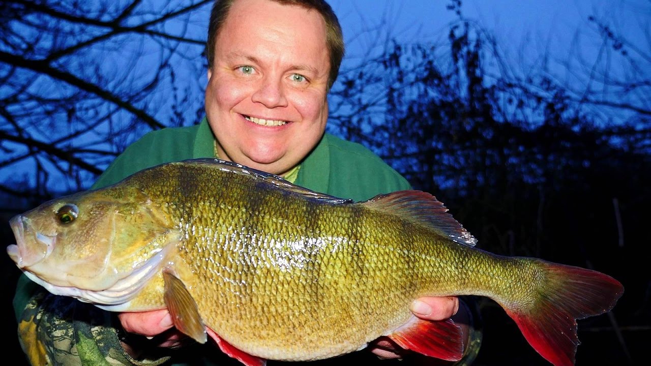 Small Rivers - LARGE Perch! (Video 102)