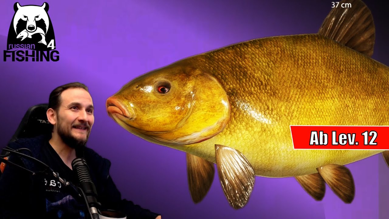 Russian Fishing 4 - Alte Festung - Ab Level 12 Schleie angeln