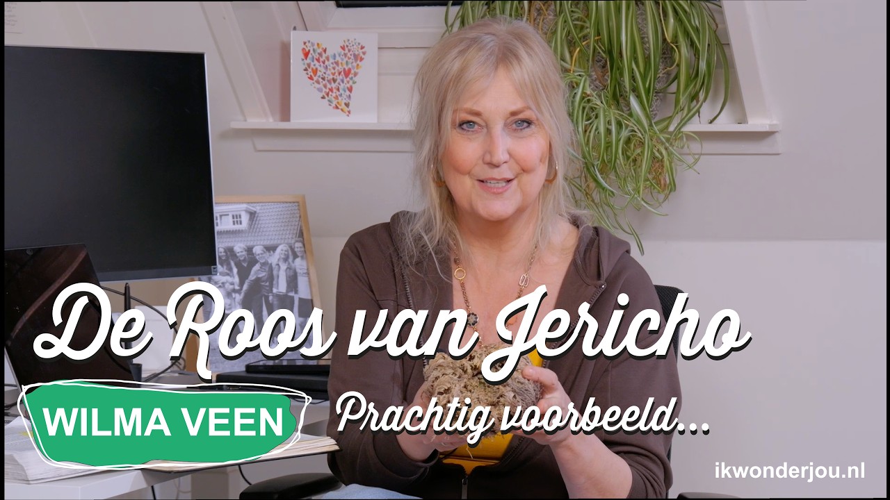 Wat dor lijkt… kan weer leven | De Roos van Jericho  / Wilma Veen - Ik Wonder Jou Live