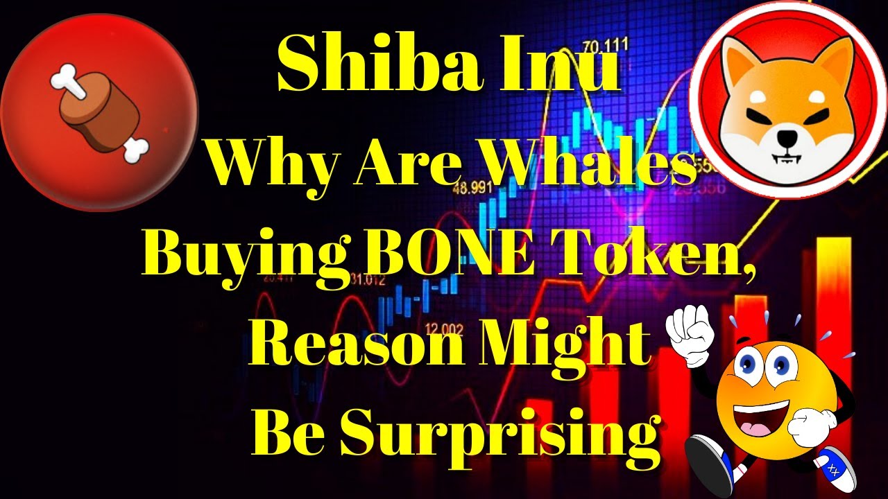 Breaking Crypto News | SHIB: Why Are Whales Buying BONE Token, Reason Might Be Surprising