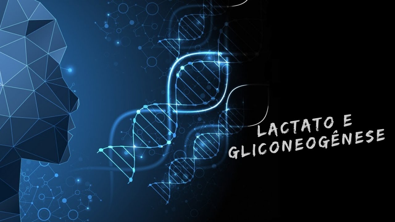 Lactato e gliconeogênese