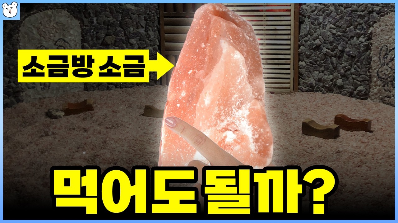 소금방 소금이 5억 년 전꺼라고?!
