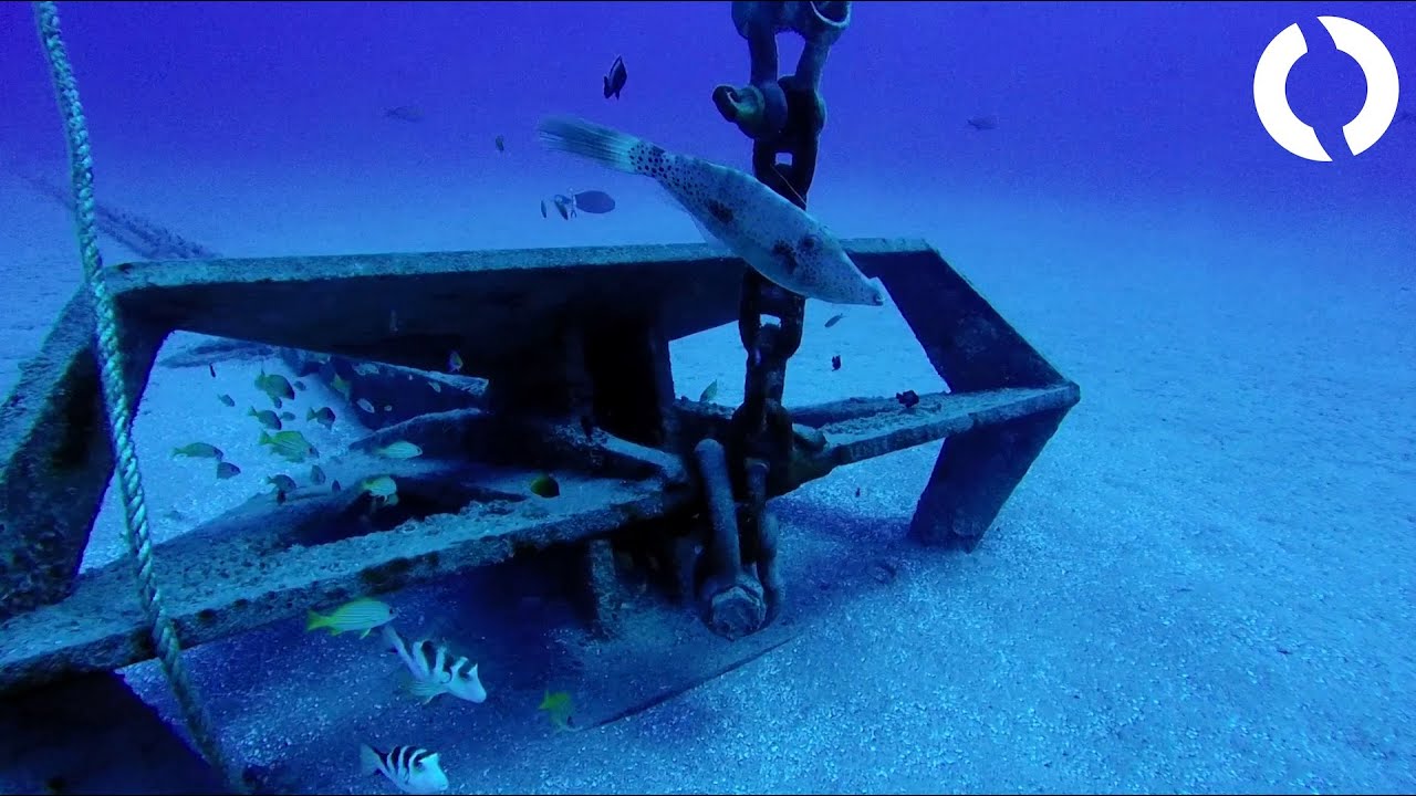 BlueROV2 Dive: Hawaiian Open Water