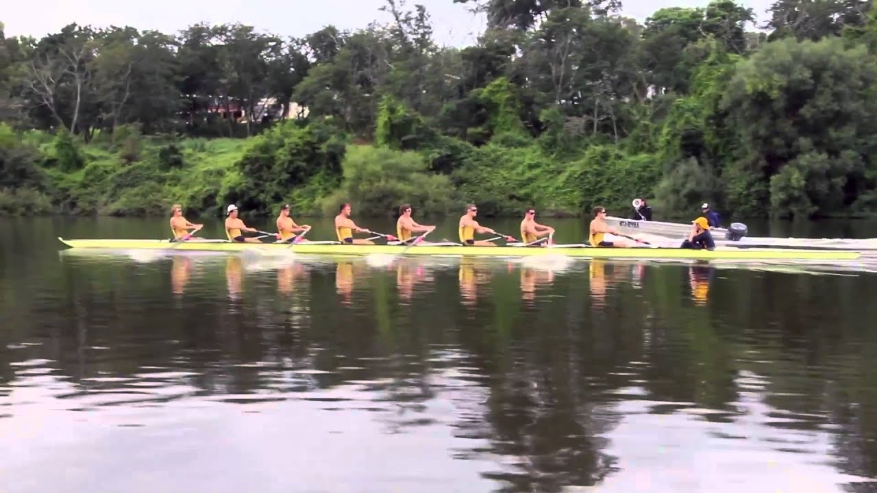Scots College Rowing 2012