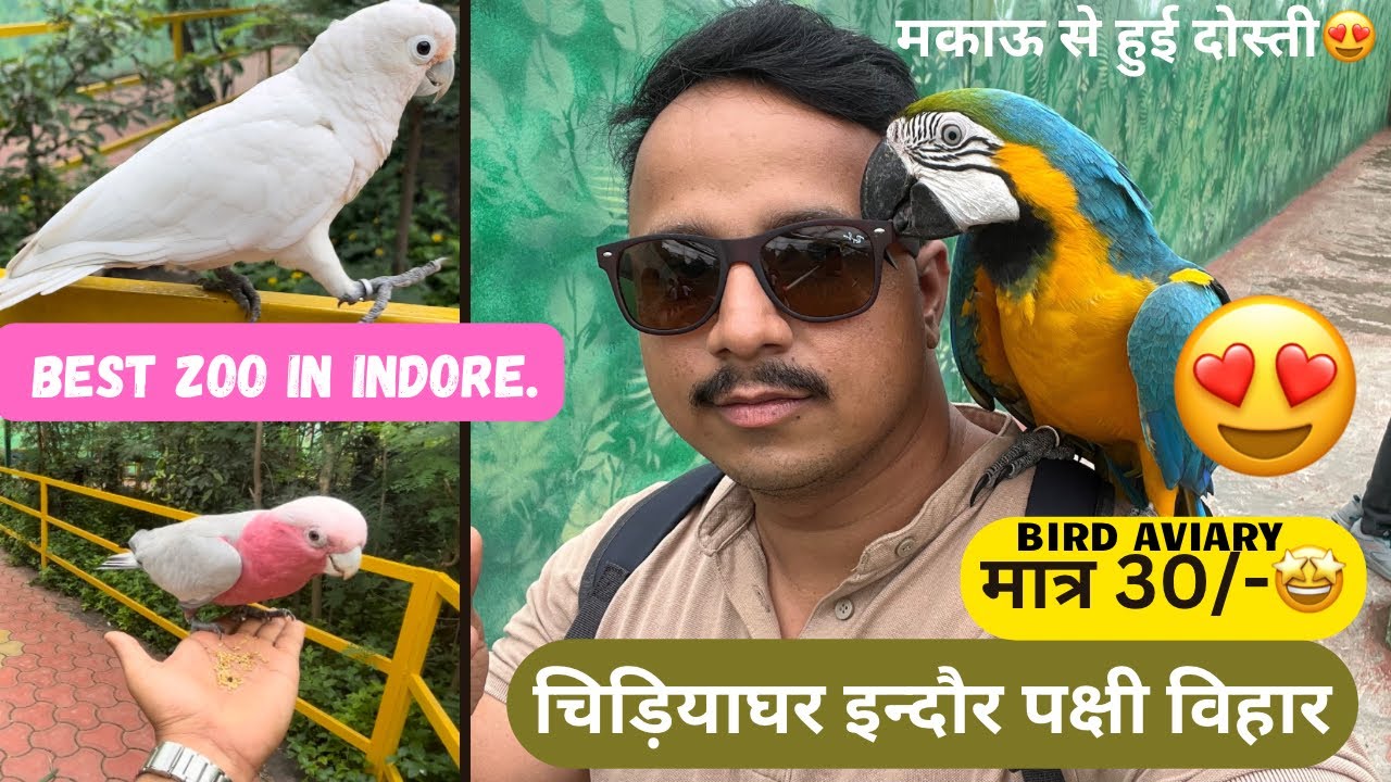 INDORE ZOO || bird aviary || चिड़ियाघर इंदौर पक्षी विहार😍 || pakshi vihar || famous zoo in m.p.