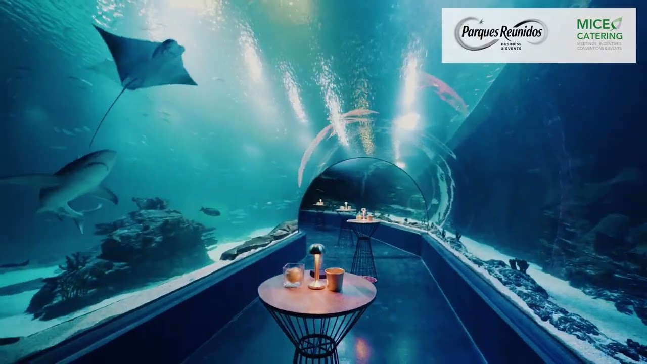 Experiencias únicas en Eventos de Parques Reunidos