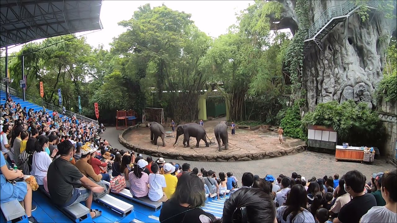 ซาฟารีเวิลด์ โซนมารีนปาร์ค