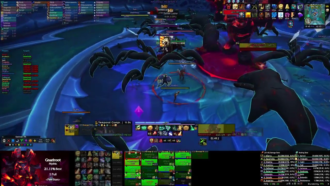 Mythic Gnarlroot: Paw Stars-Dalaran Amirdrassil Raid