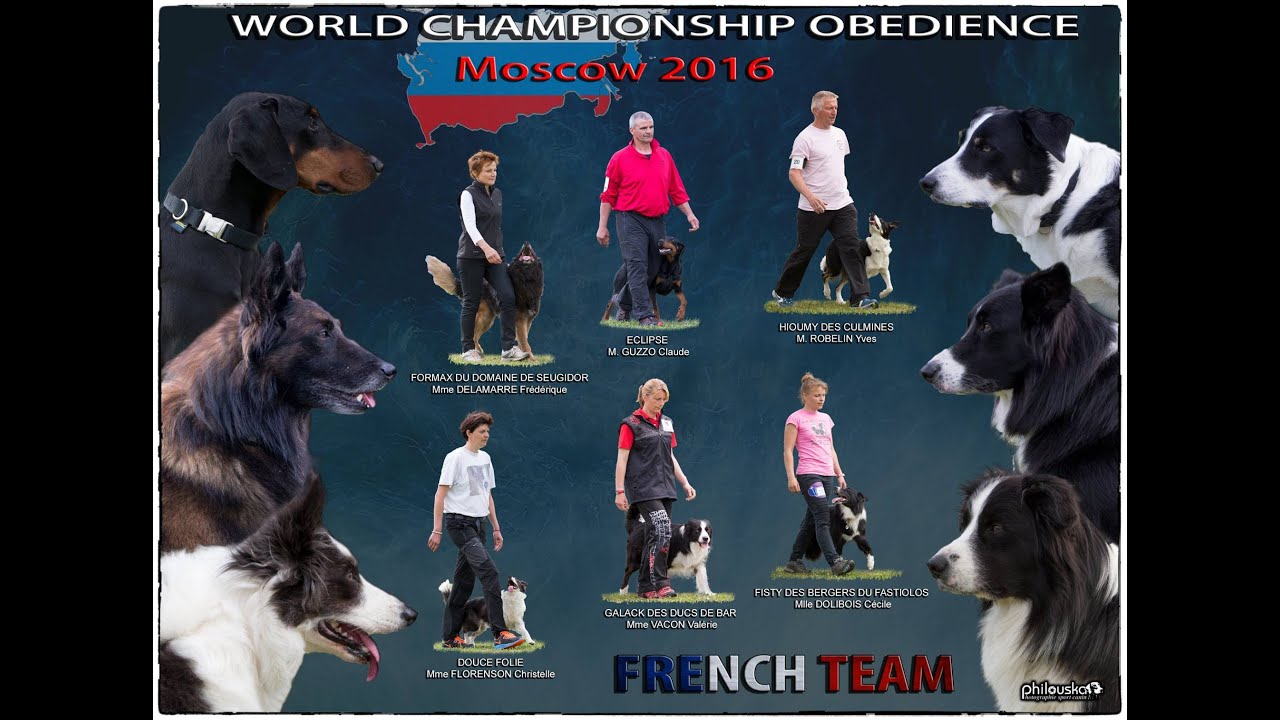 Equipe de France Championnat du monde Obéissance - French Team Obedience World Championship - 2016