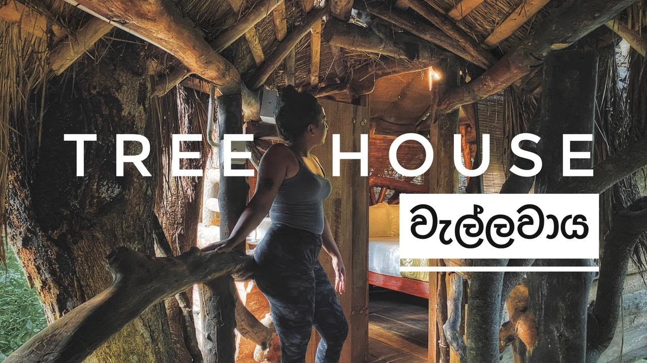 Sri lanka Vlog │Adventure activities │Day in a Tree house │Wellawaya │Sayon River Cottage │ Vlog 13