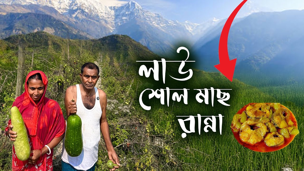 গ্রামের টাটকা লাউ ষোল মাছের দারুন স্বাদের রান্না  | Village Life Cooking Bangladesh