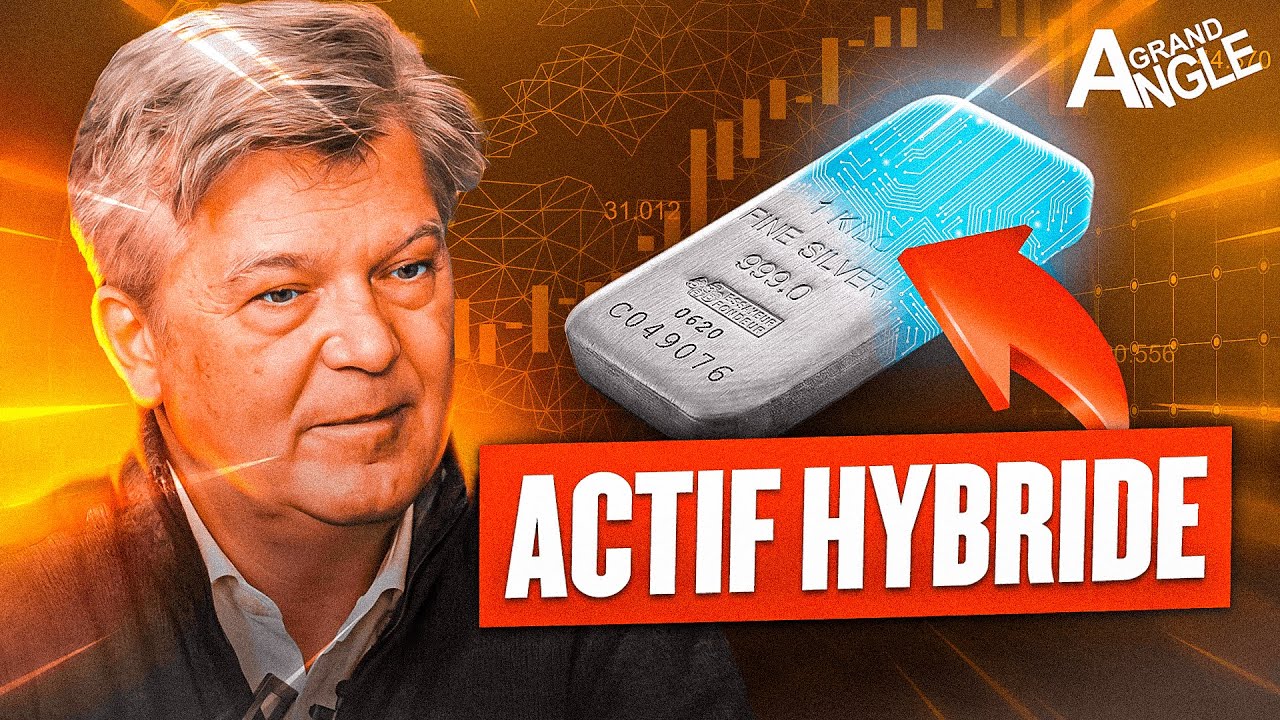Actifs Hybrides : La nouvelle façon d'investir qui change tout [Didier Darcet]