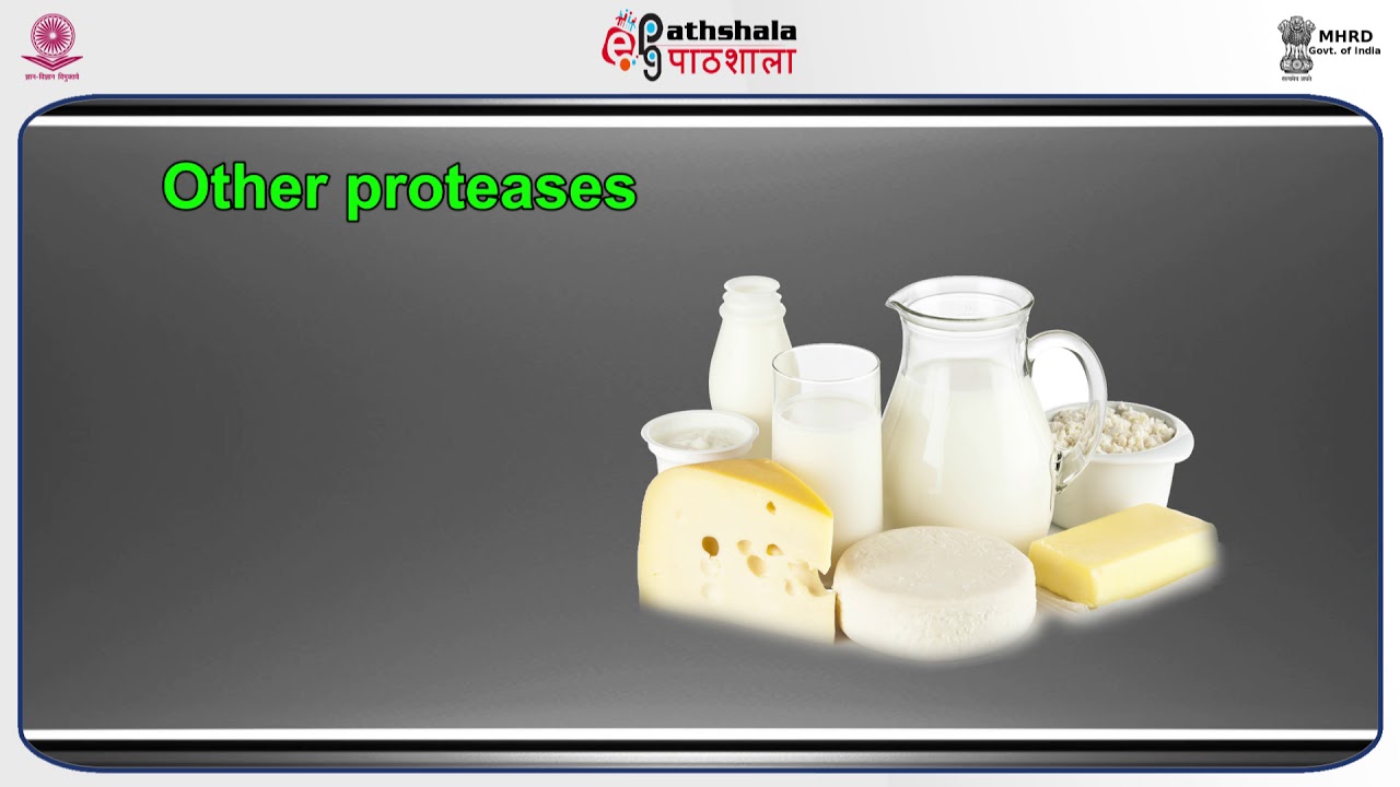 Applications of Enzymes in food industry