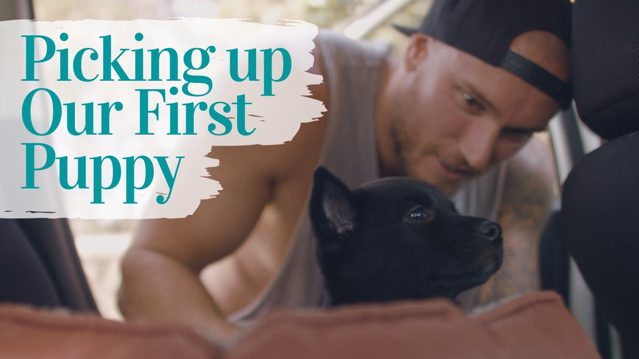 We Got a BLACK POMSKY PUPPY! | Vlog | Gold Coast, Australia (skip to the puppy in description)