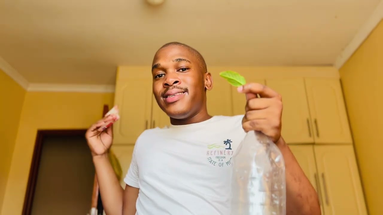 Imali esheshayo yesghubhu Part 2 Kwanele Mbhense 