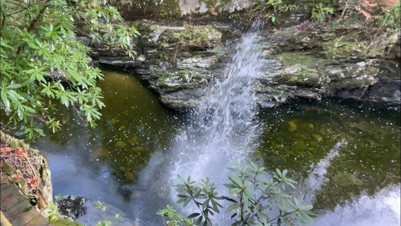 Rock Splashes from Spelga Dam, Yellow Water Woods and Tollymore!