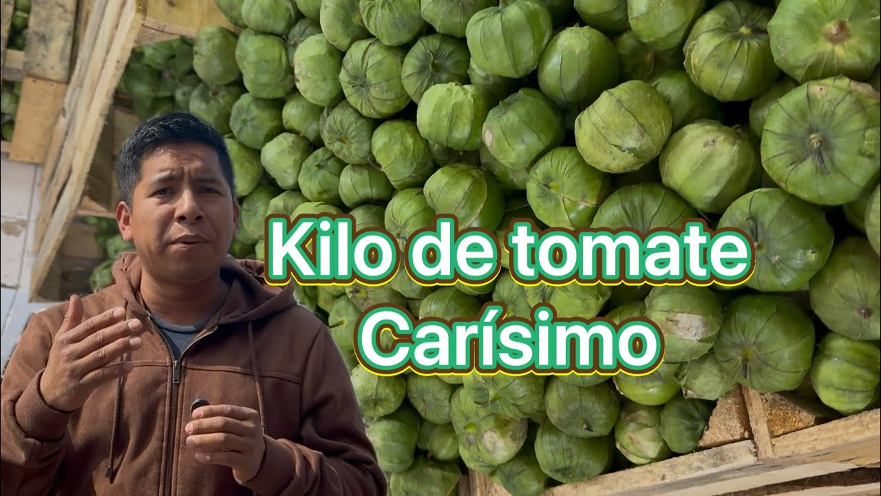Esto cuesta el kilo de tomate en el mercado más grande de la Ciudad de México.