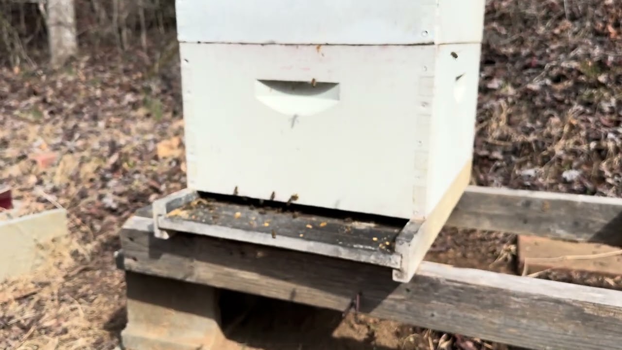 I Quit Beekeeping #beekeeperslife 