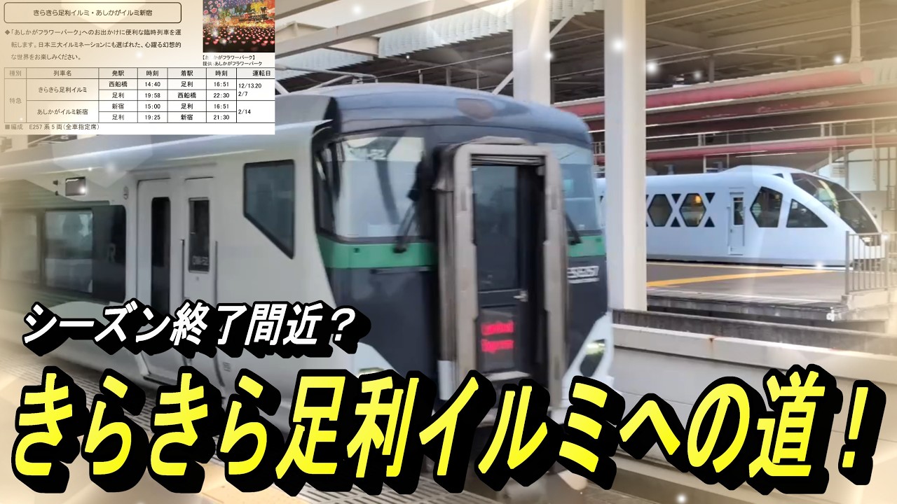 【シーズン終了前に 2週続けてやって来る E257系 きらきらイルミ】あしかがフラワーパークへの臨時旅客列車を狙え⁉