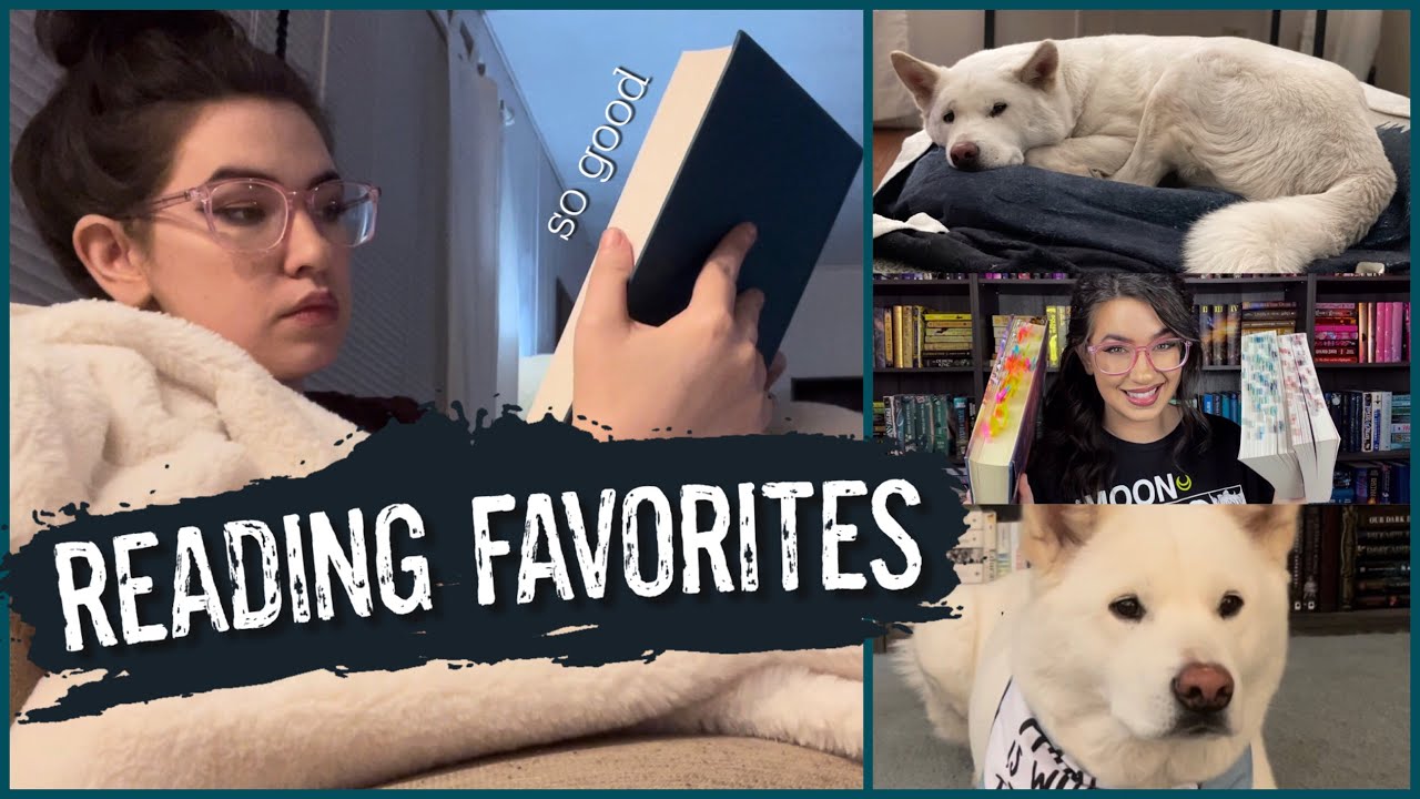 Mini haul, a new favorite, and rereading old favorites