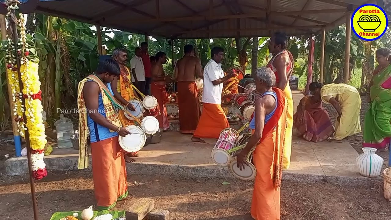பெரியாண்டச்சி முன்பு பம்பை வாசிப்பு | Pambai Music | Parotta Channel. 