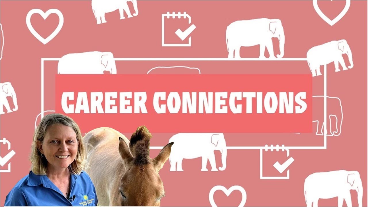 Career Connections: Conservation Biologist