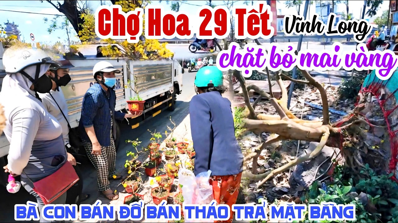 BÁN LỖ BÁN THÁO CHỢ MAI VÀNG 29 TẾT VĨNH LONG CHẶT BỎ, XẢ RẺ TRẢ MẶT BẰNG ĂN TẾT KPVL