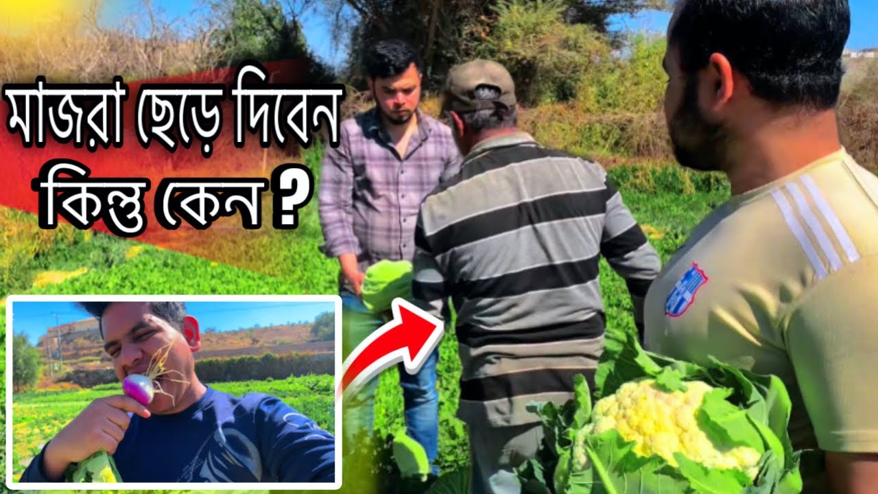 মাজরা ছেড়েছে নানা ভাই 😔 | আজ শেষ দিন মাজরায় | JOY BD