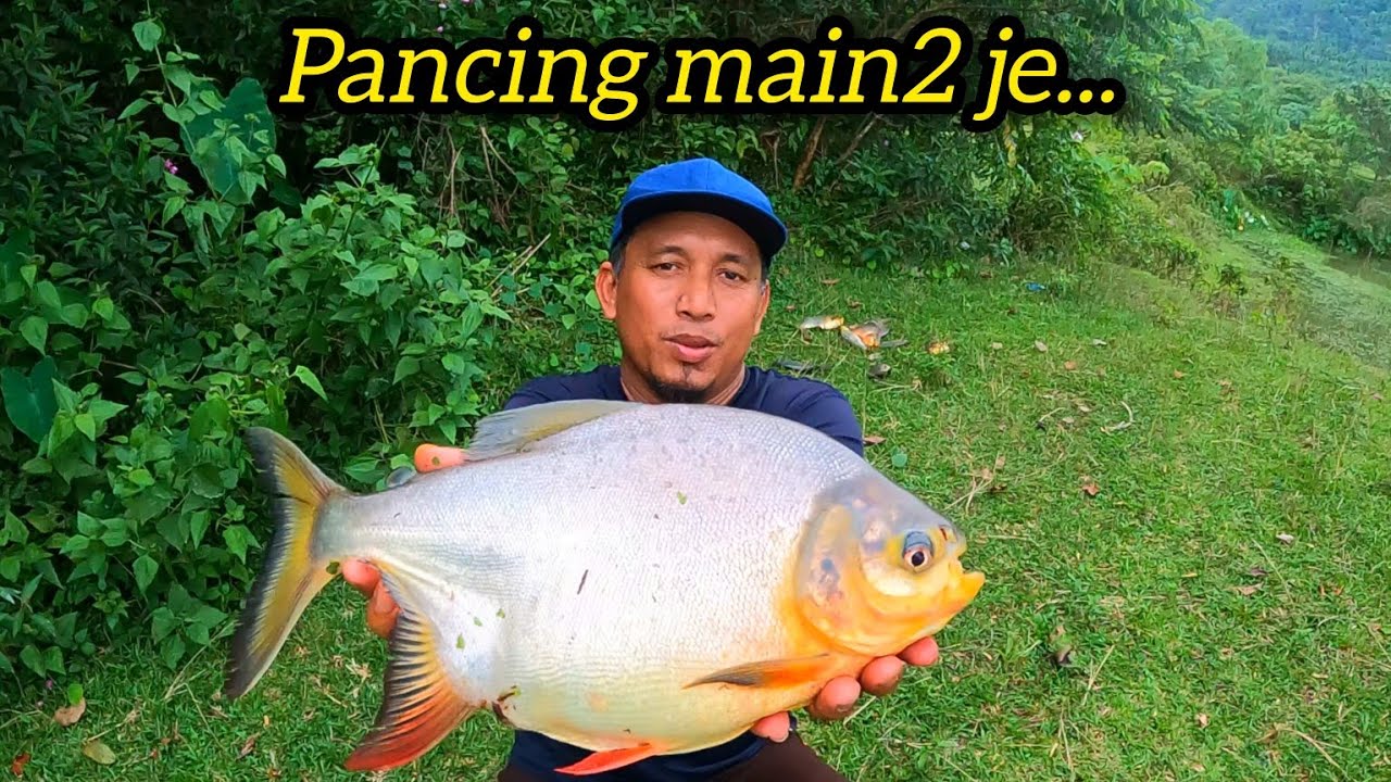 Singgah untuk stok Pacu di rumah #gengdunia