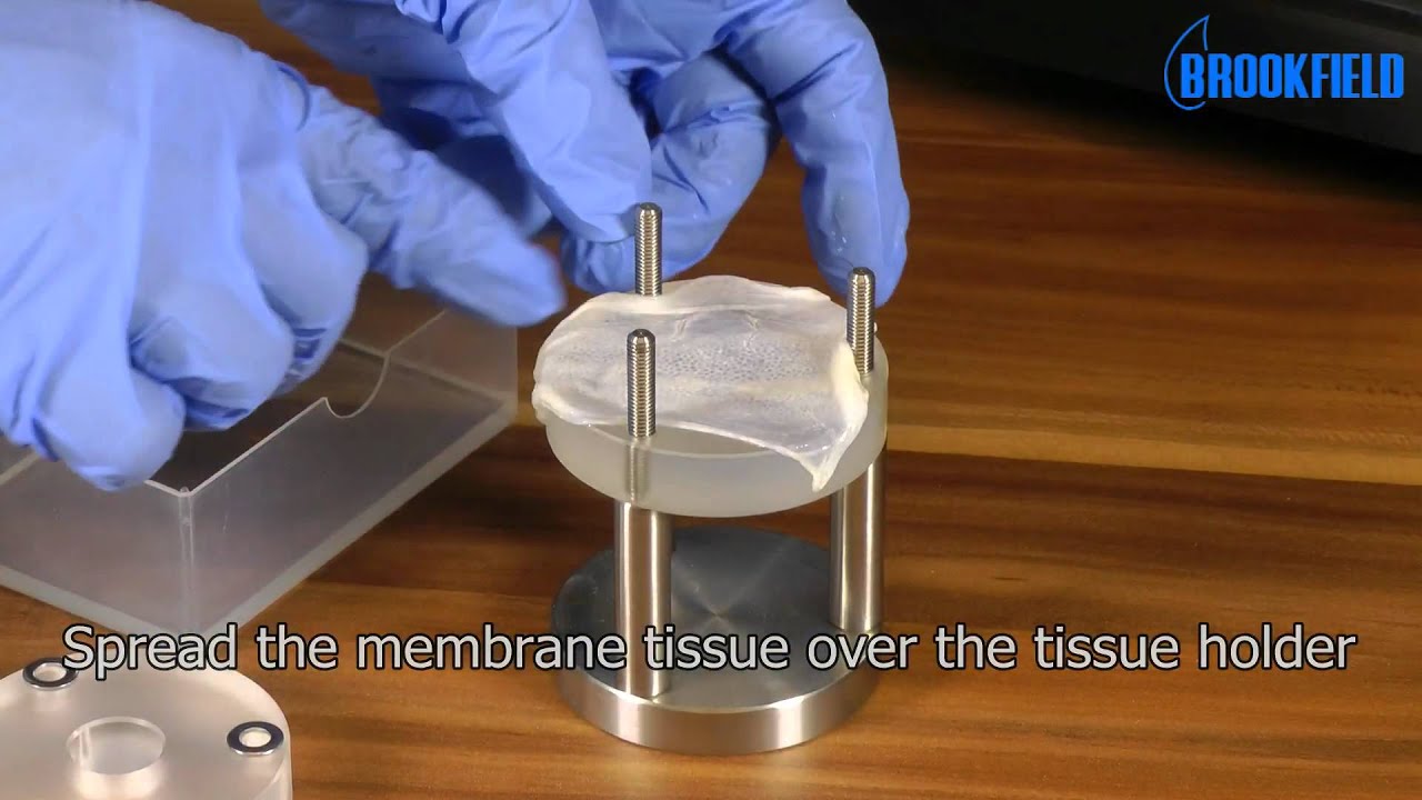 Brookfield CT3Instructional: Video Mucoadhesion