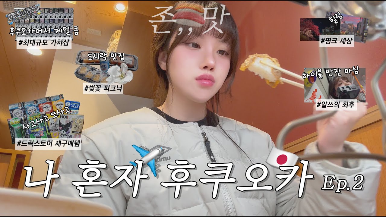 [JP/KR] 나홀로 4박5일 후쿠오카 여행 Ep.2ㅣ벚꽃라이트업 미쳤다ㅣ드럭스토어 쇼핑템 추천ㅣ혼밥의 정석 쿠라스시ㅣ입 짧은 알쓰의 일본 혼자 여행 브이로그