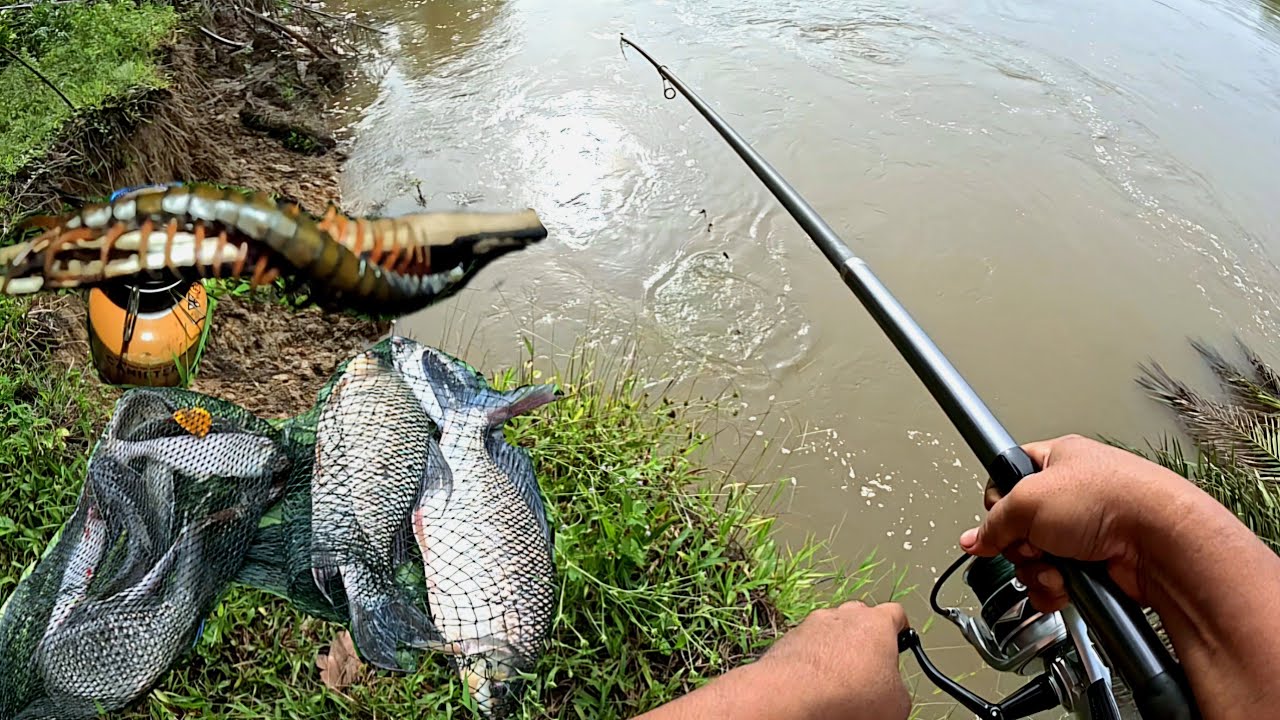 BERBURU IKAN MONSTER KITA COBA PAKAI UMPAN KELABANG BAKAR