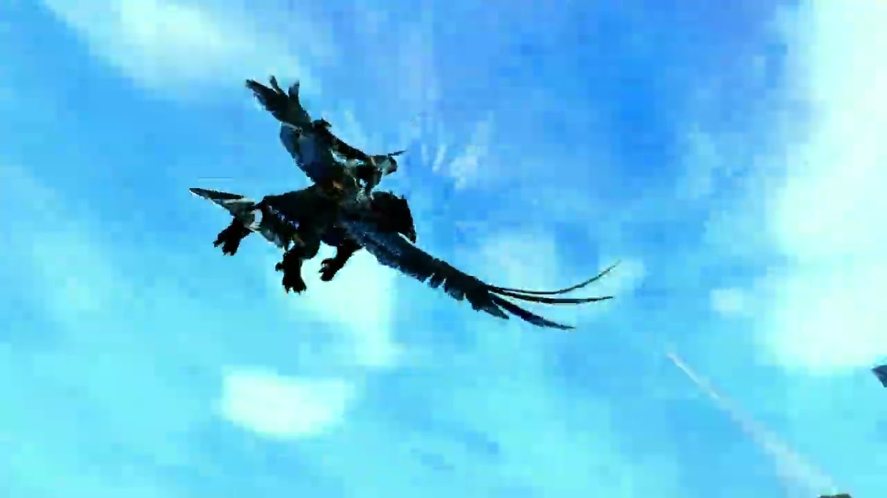 GW2: Canthan Griffon Flying Contest - Seitung Province