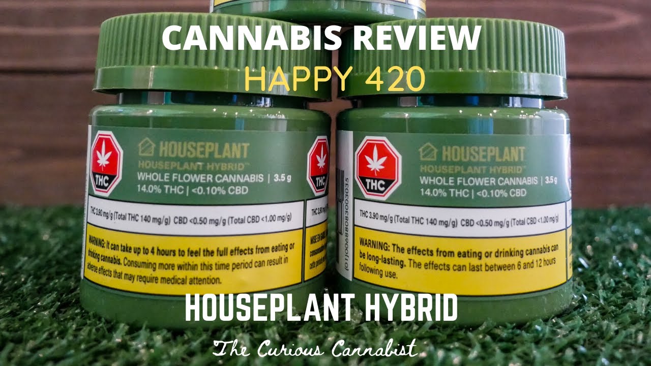 Houseplant Hybrid | Cannabis Review | HAPPY 420 | MUST BE 19+ To Watch
