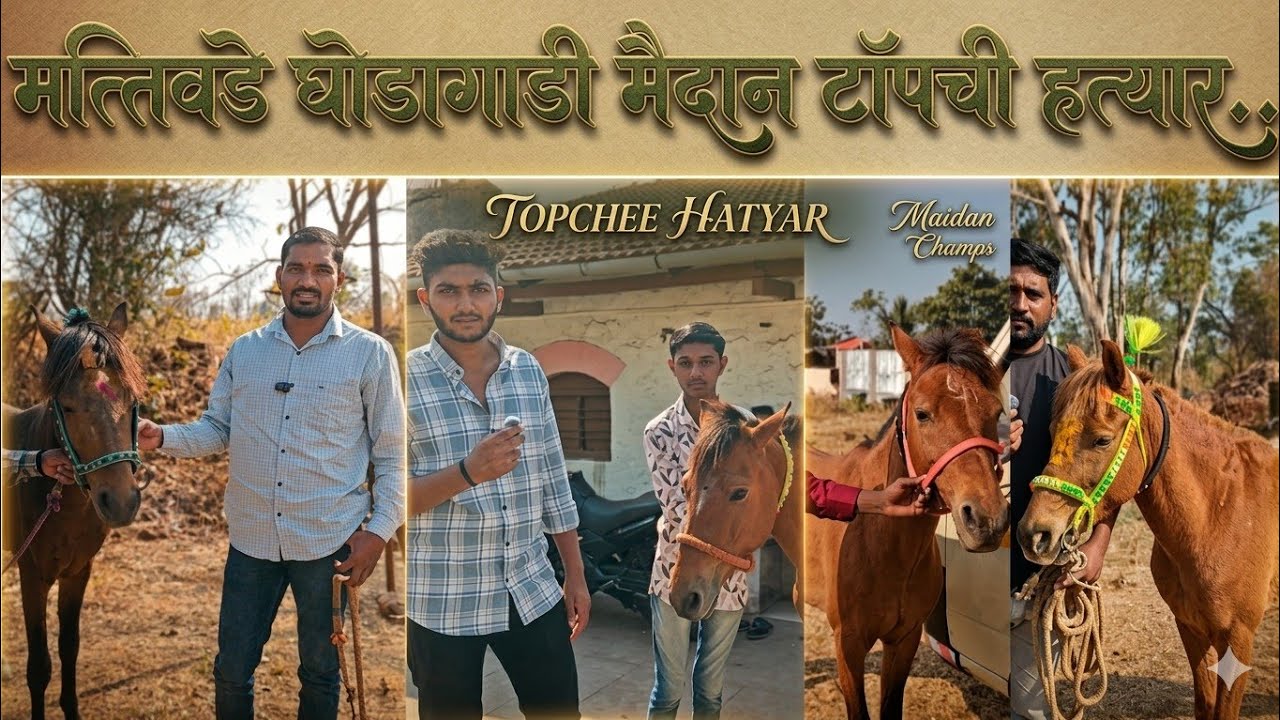 मत्तिवडे घोडागाडी पैरे Mattiwade ghodagadi, hatat bail dharun palavane paire #sharyat #horse #horses