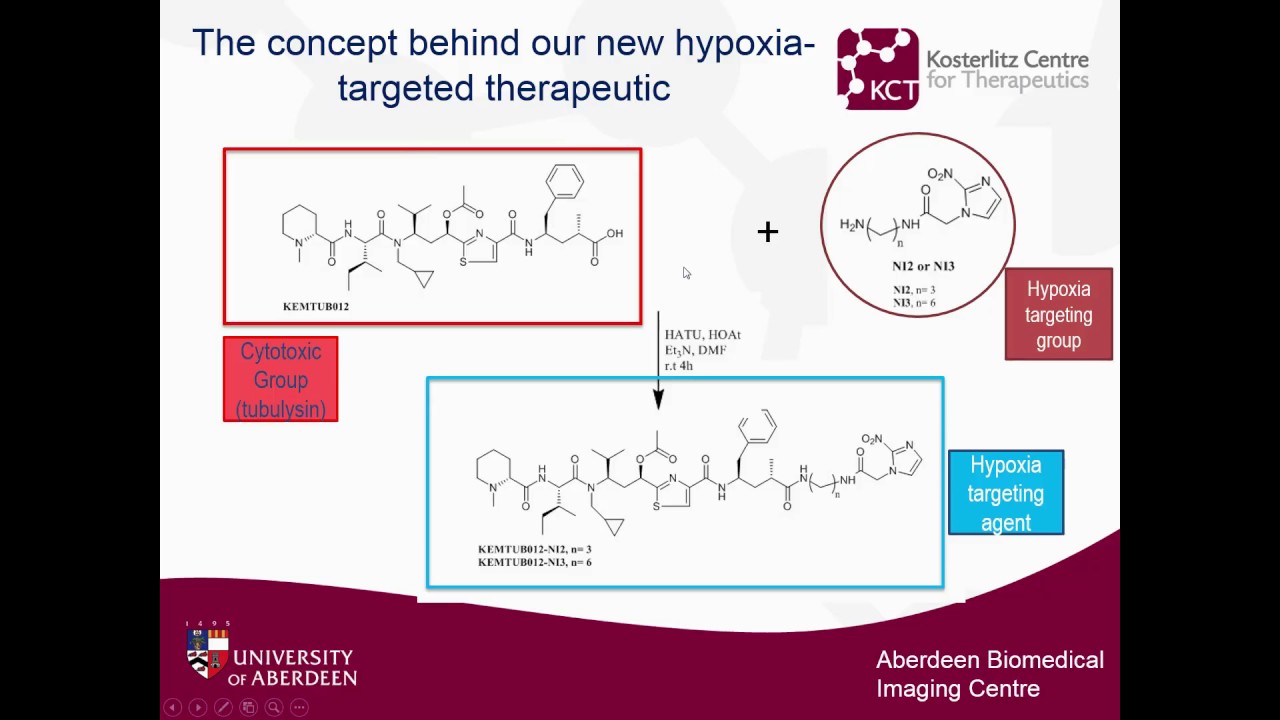Hypoxia-targeted tubulysin- Video Abstract ID 132832